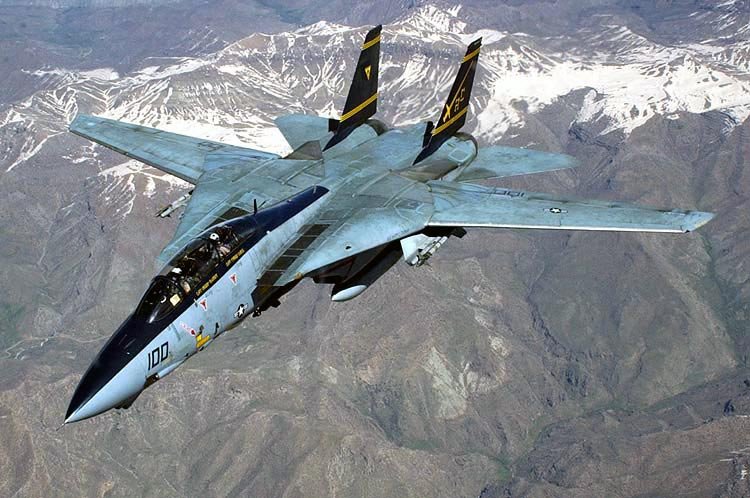 Wing tomcat unswept 
        - Wikipedia